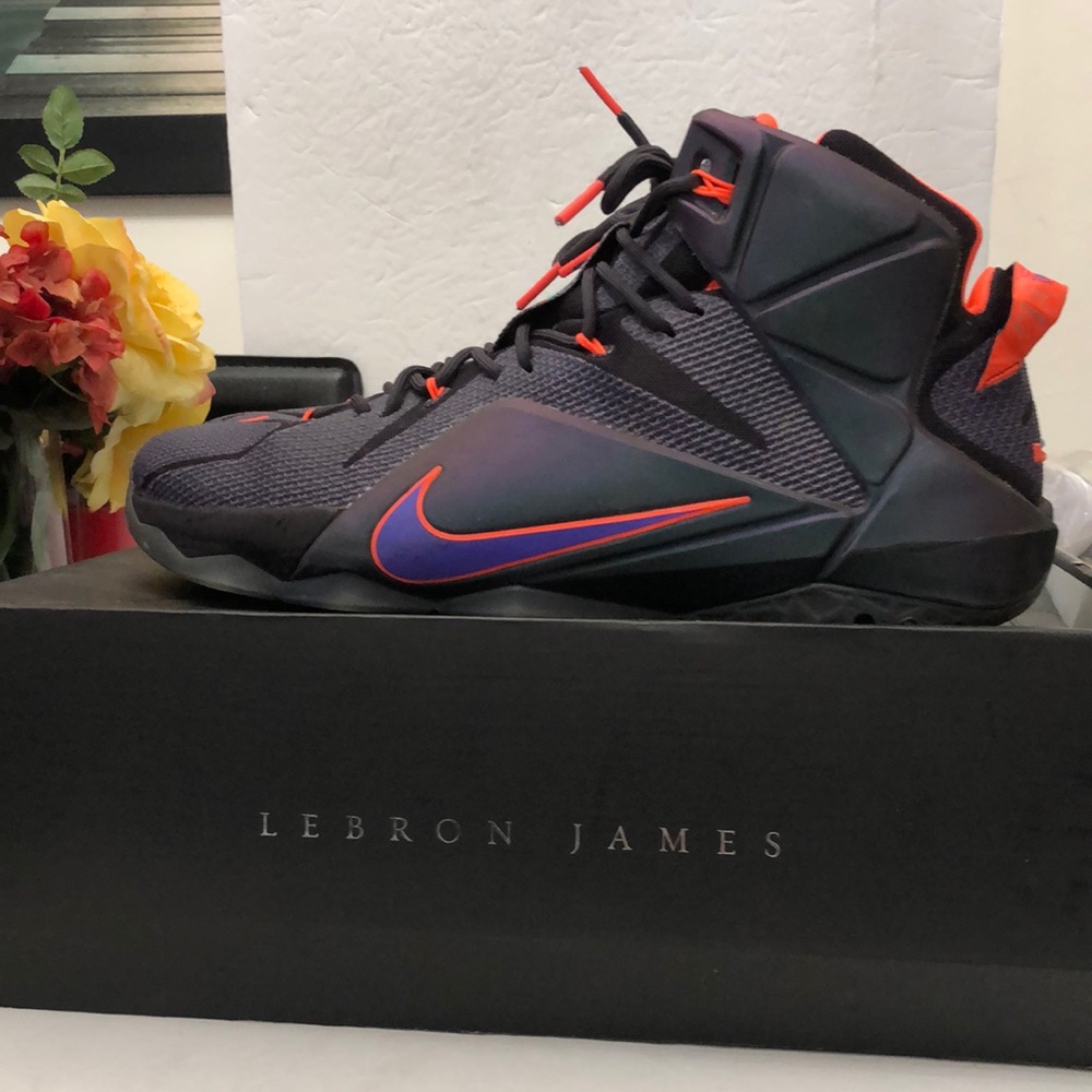 NIKE LEBRON JAMES XII INSTINCT BASKETBALL SNEAKERS MENS SIZE 15